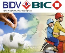 Bảo Hiểm BIDV 2 Năm Bắt Buộc Và Tự Nguyện Cho Xe Máy